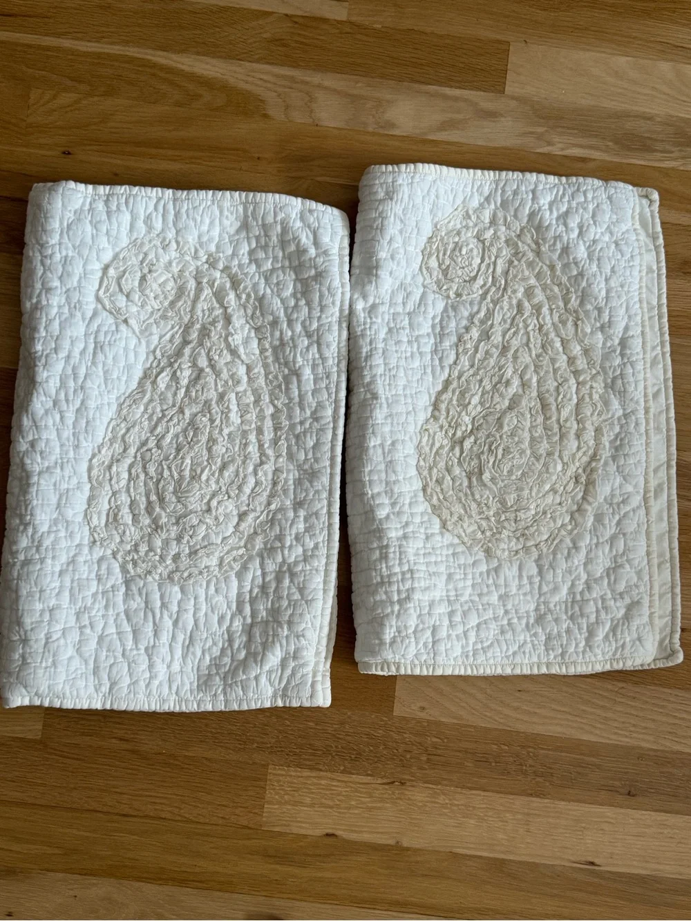 Pottery Barn Quilted Paisley Pillow Case Set of 2 ~ Standard Size